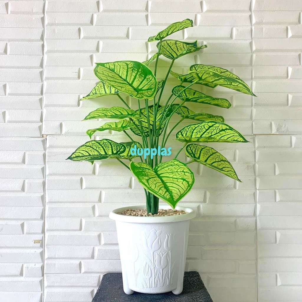 Pohon Hias Daun Calladium X18 Latex Artificial Pot Tulip Kaki Plastik Putih Tanaman Dekorasi Rumah