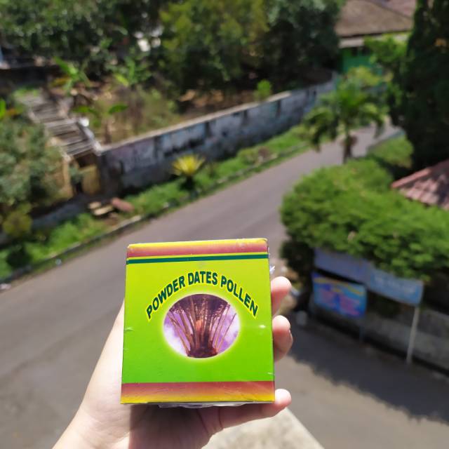 Bubuk Kurma Muda (Powder Dates Pollen)