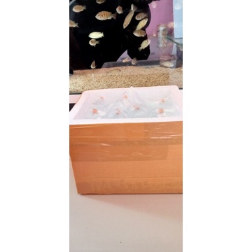 

packing tambahan box styrofoam