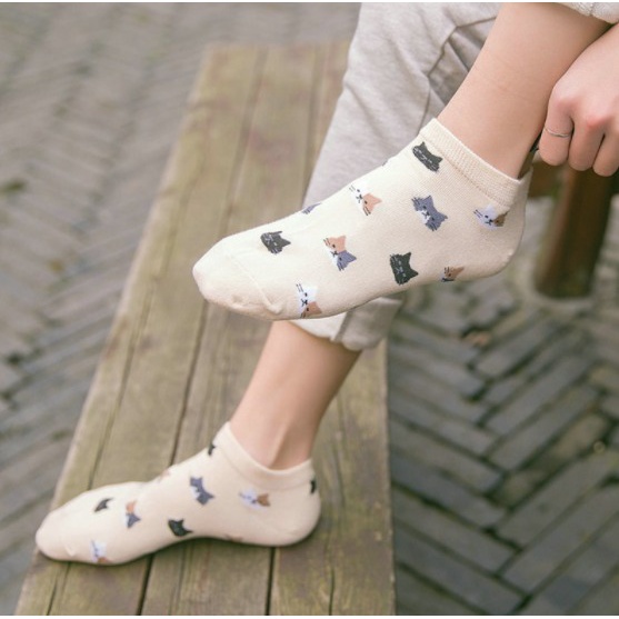 Kaos Kaki Pendek Socks Wanita Many Cats Motif Cute Lucu Unik SHC21