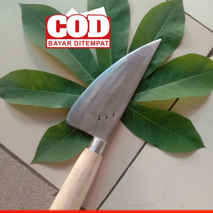 Pisau Seset Kulit - Pisau Seset Atau Kellet Kulit Sapi Dan Kambing - Vivistecolection