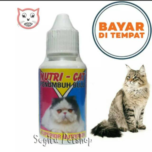 Vitamin Penumbuh Bulu Kucing