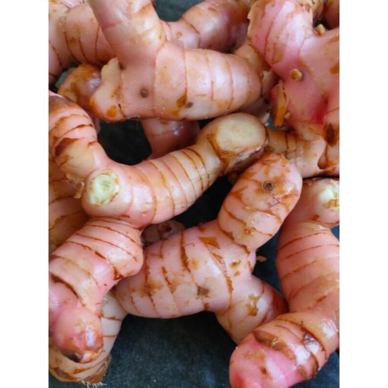 lengkuas 1kg