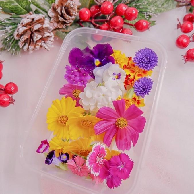 

Kualitas terbaik] Edible flower mixed (bymich)