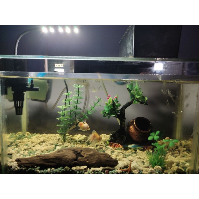 Lampu Aquarium Serbaguna Aquascape LED Kecil-kecil Cabe rawit