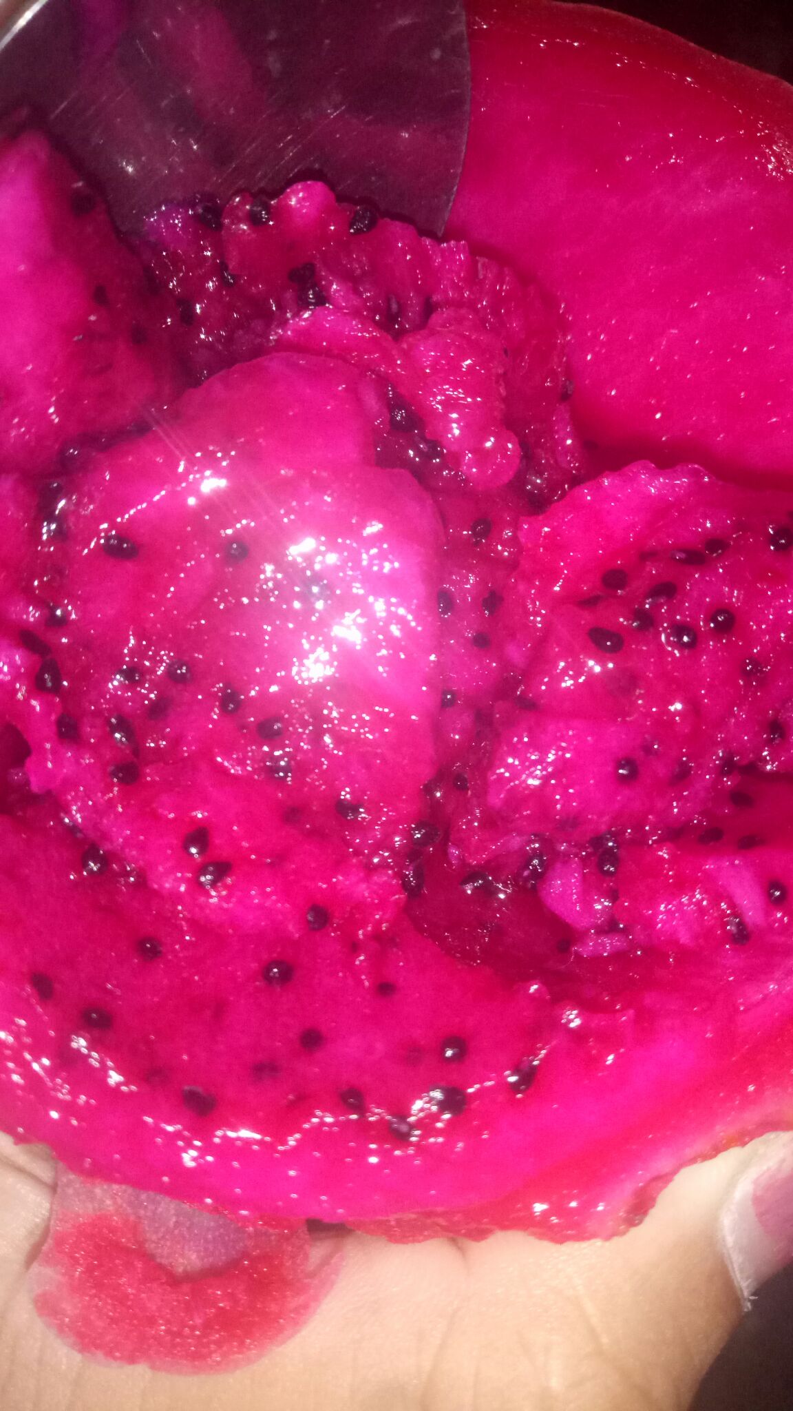 Kingtiam Stainless Steel Egg Beater Hand Kocokan Mixer Manual Alat Dapur Kue Telur Pengocok Telur