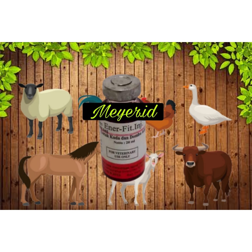 Enerfit Inj Meyer 20ML - Obat Stamina kuda pacu dan domba adu