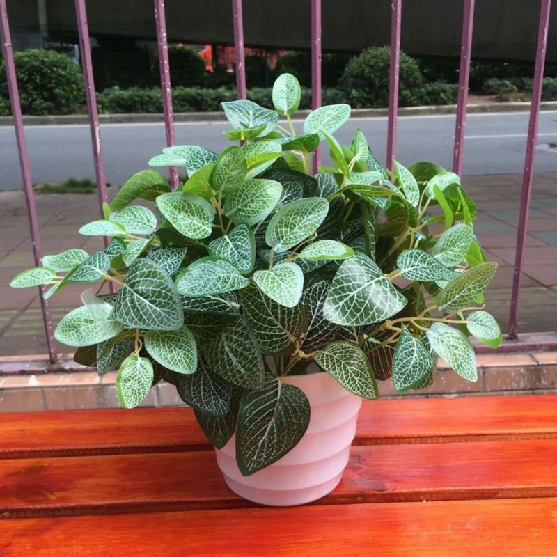 Daun Aglonema Eucalyptus Plastik Bunga Artificial Hiasan Seserahan Rustic Properti Foto G2N58