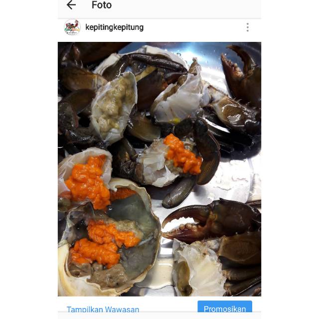 

Kepiting telur mix jantan