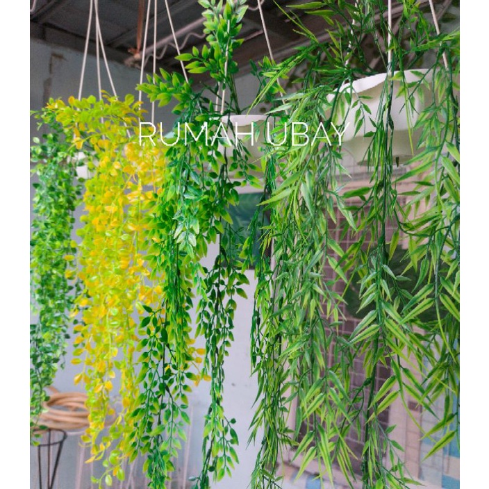 Bunga Juntai Pot Gantung / Daun Gantung / Bunga Gantung
