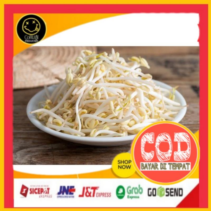 

Toge 250g Tauge Ketambah Sayuran Segar Sayuran Fresh Sayuran Organik Sayuran Online Sayuran Terlaris