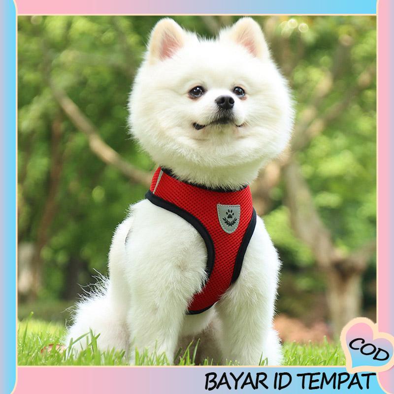 COD❤️ Pet Chest Back Leash Mesh Strip Reflektif Crossing Road Perlengkapan Hewan Peliharaan tahan aus-A.one