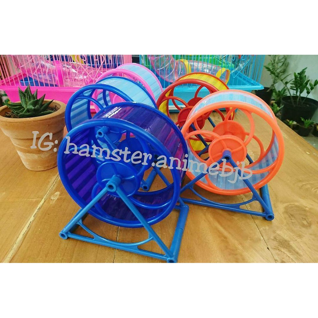 Sweet rolling rolling hamster roda putar hamster