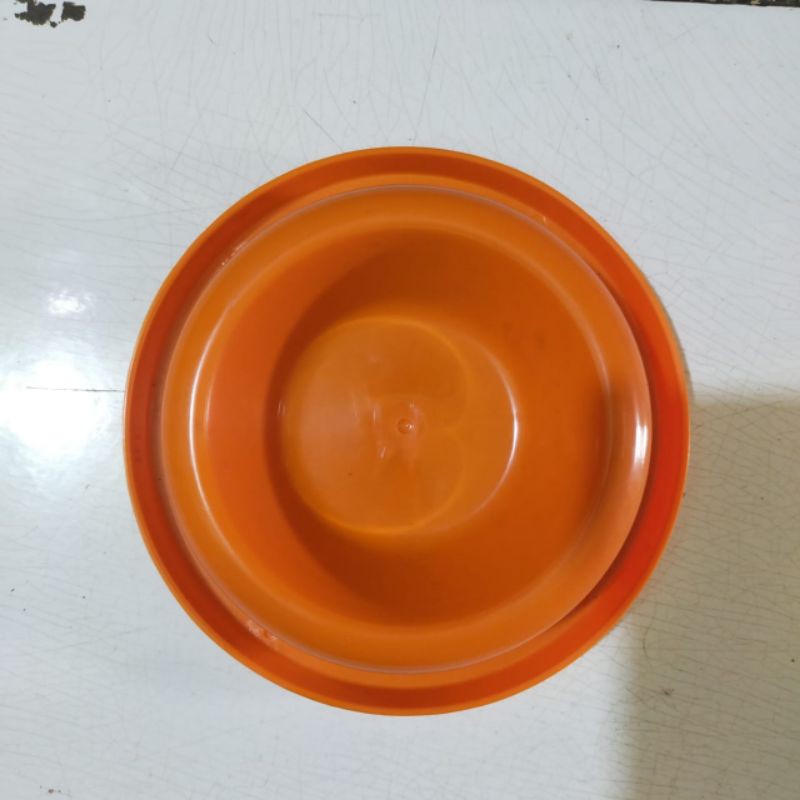 Tempat Makan Kucing Murah Anti Semut