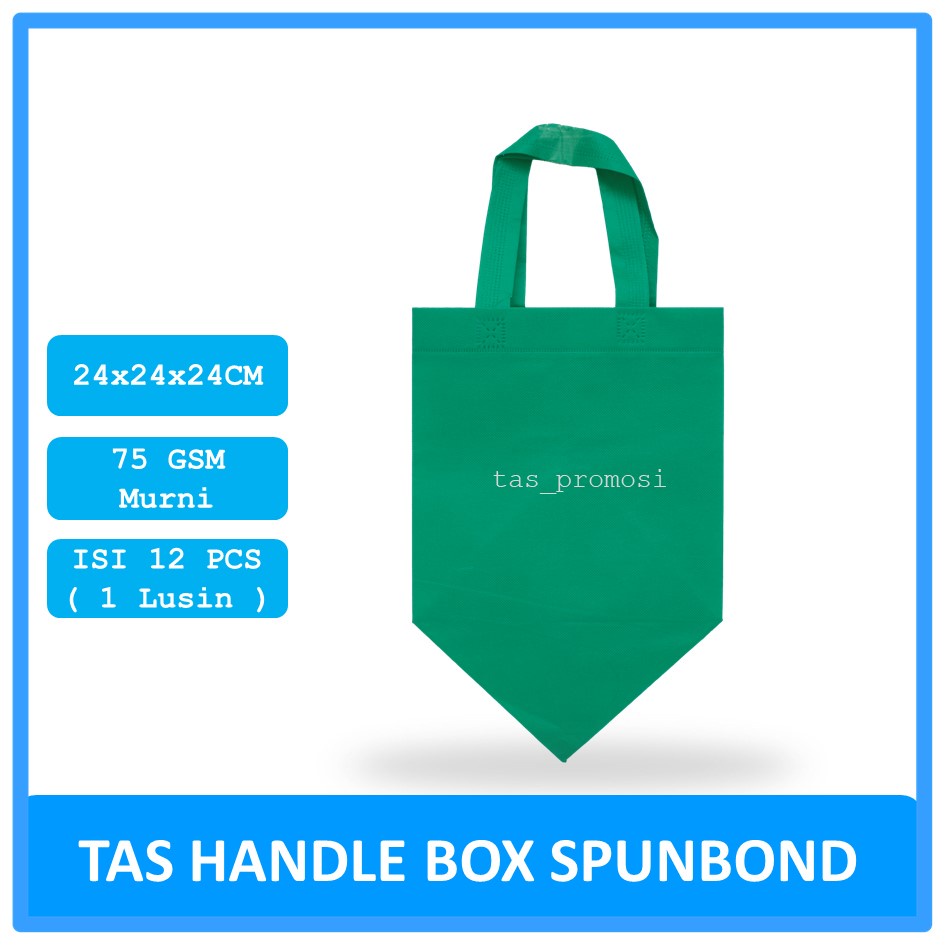 Goodie Bag Spunbond Box 24x24x24 Hijau Muda Satuan / Tas Spunbond Polos