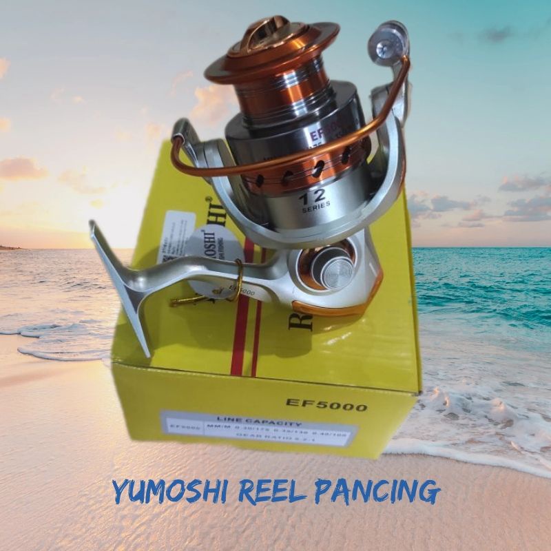 YUMOSHI REELSKING Reel Pancing Spinning 12 Ball Bearing