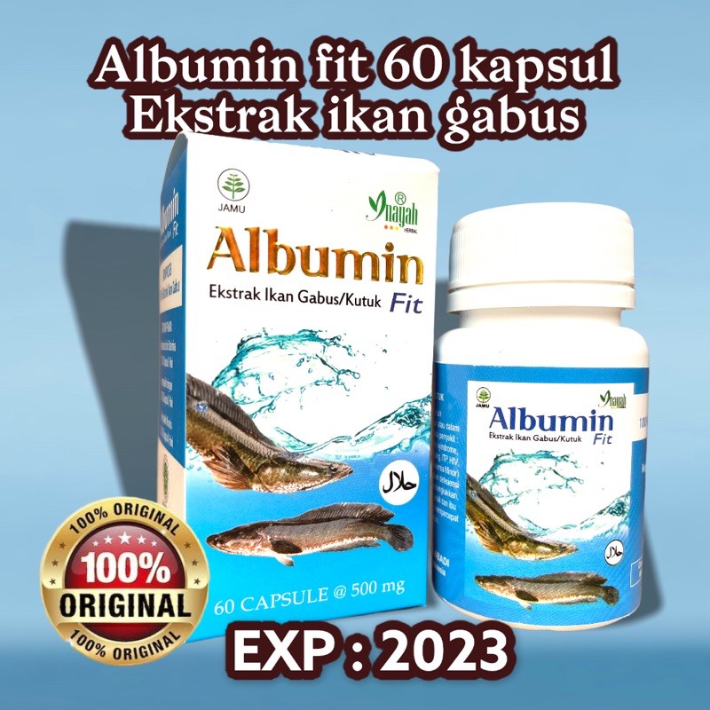 Image of Albumin Fit Kapsul Ekstrak Ikan Gabus #3