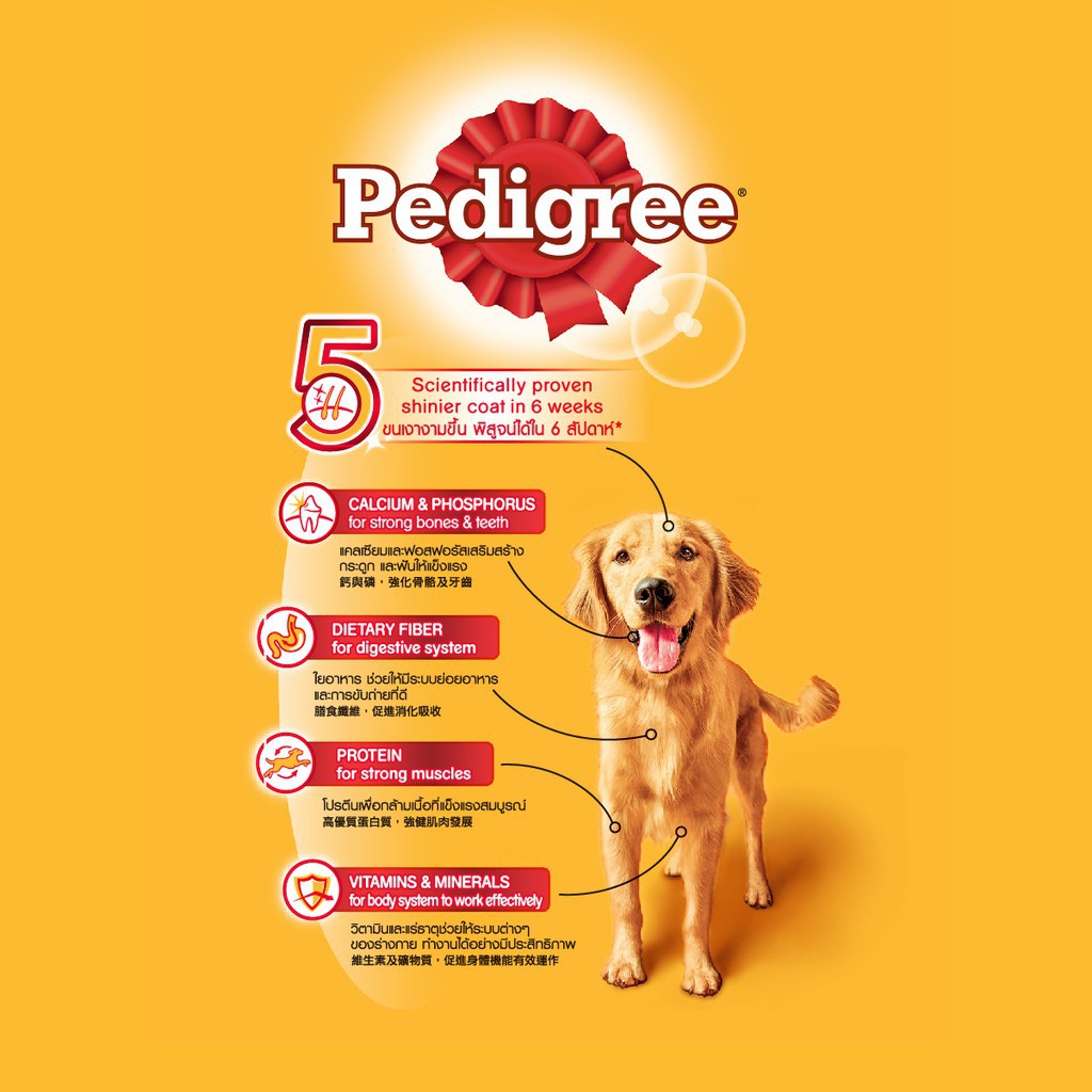 PEDIGREE CHICKEN, EGG AND FLAVOR 1.3kg MAKANAN ANJING KERING