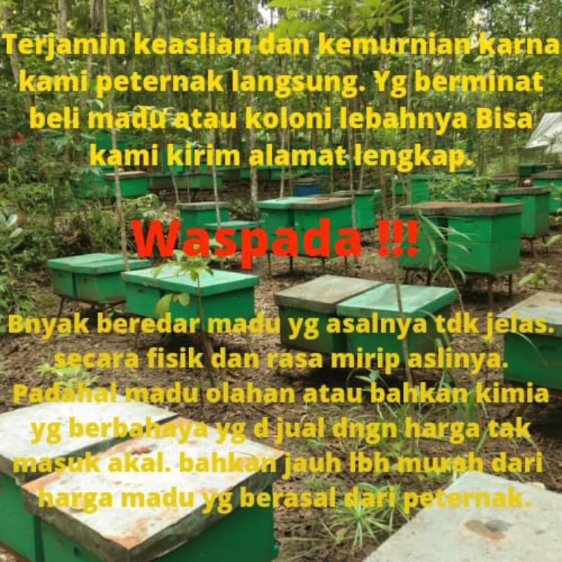 Madu Klanceng 250gr Murah