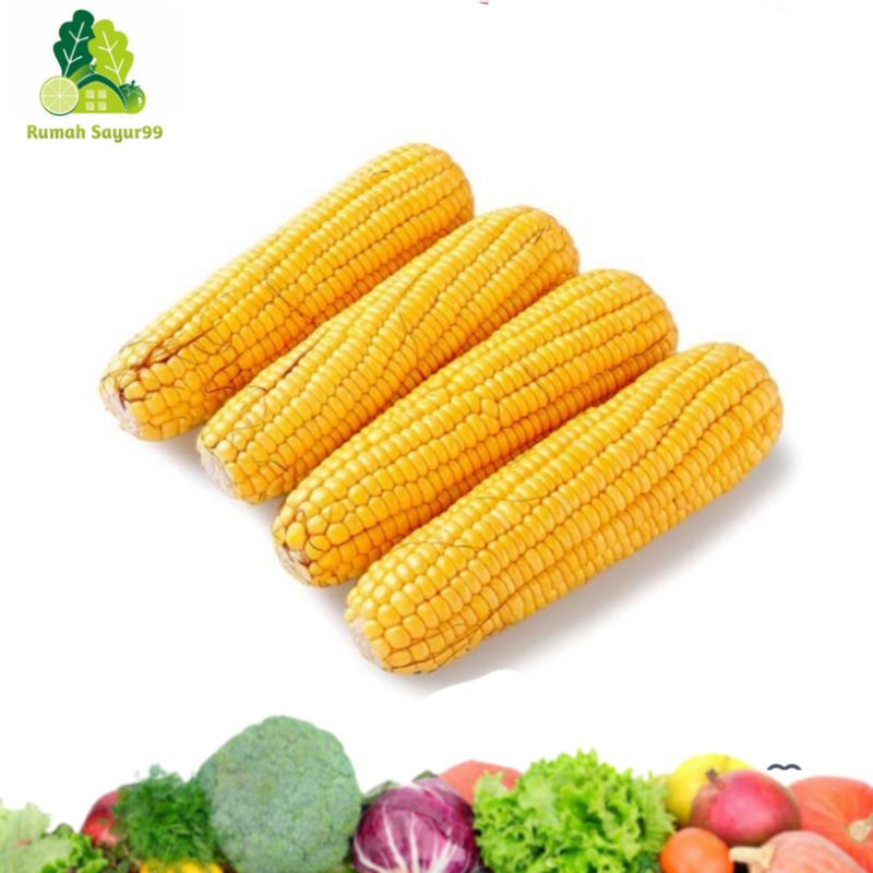 

Jagung Manis Kupas