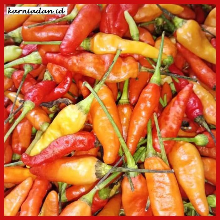 

Aneka-Sambal- Cabe Rawit Merah -Pedeeeeeezzzzzzz.