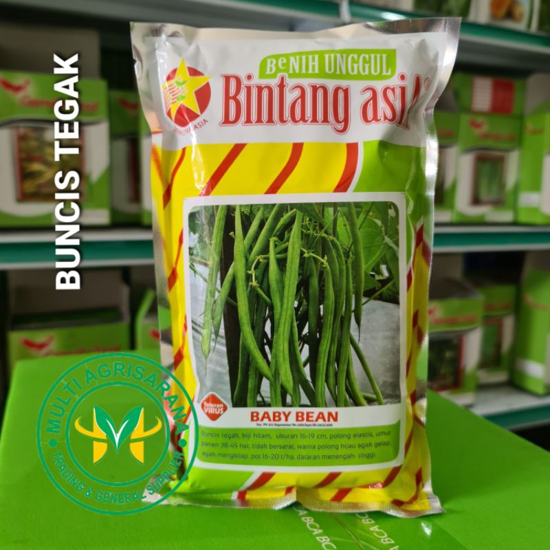 Isi 500gr Benih Bibit Buncis Tegak Baby Bean