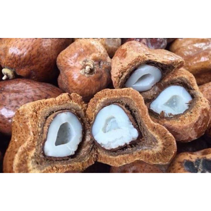 

1kg PROMIL ZURIAT MESIR UTUH