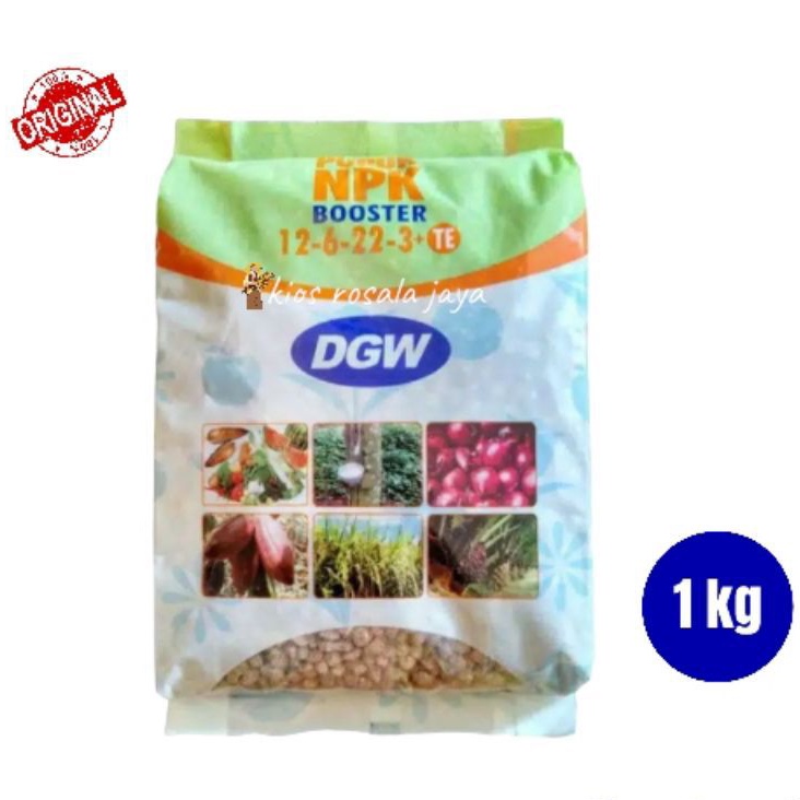 Pupuk NPK Booster DGW 12 6 22 3 Plus TE