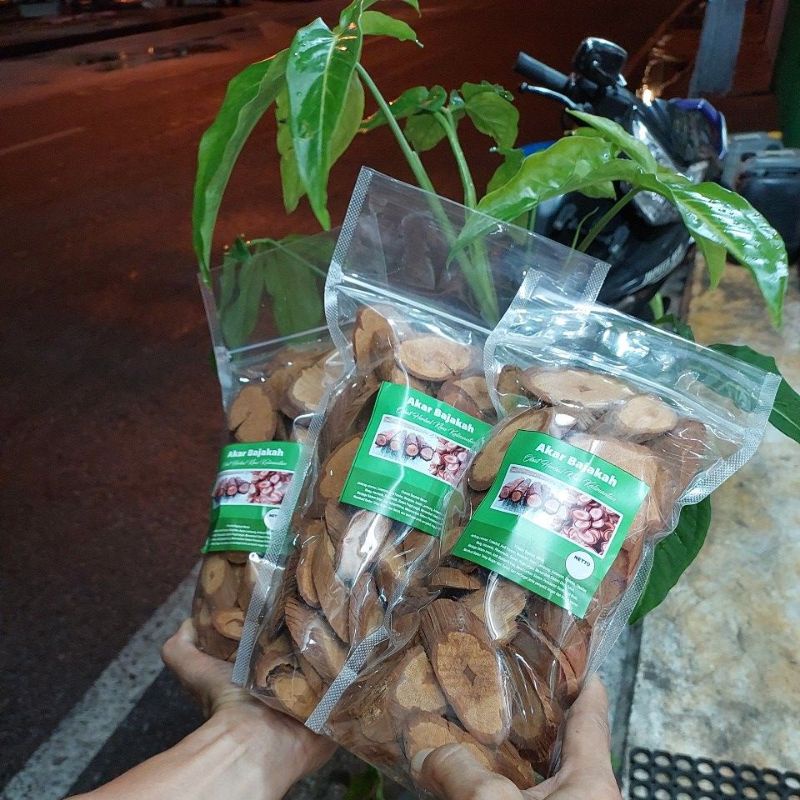 

Kayubajakatampalamerahbestseller