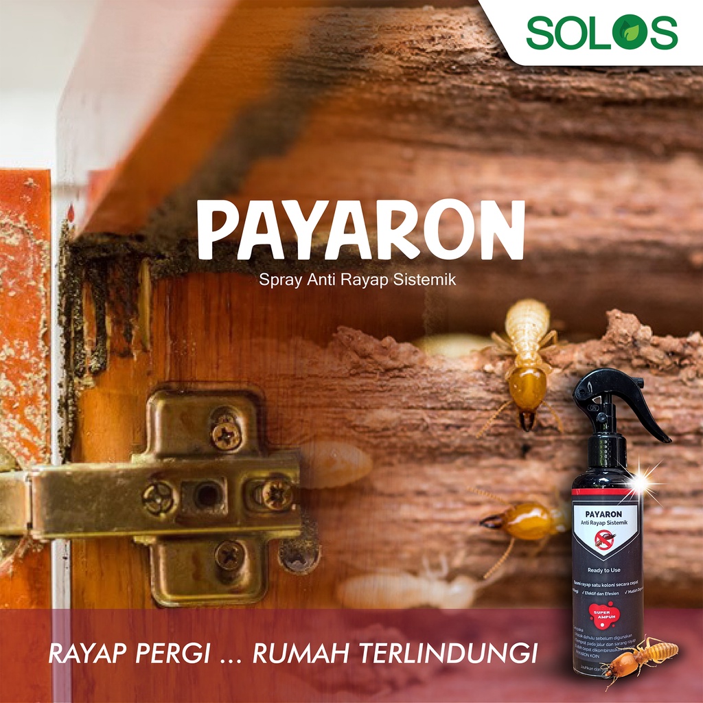 PAYARON - Pembasmi Rayap Satu Koloni Racun Sistemik