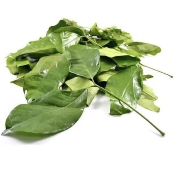 

DAUN MELINJO 100g