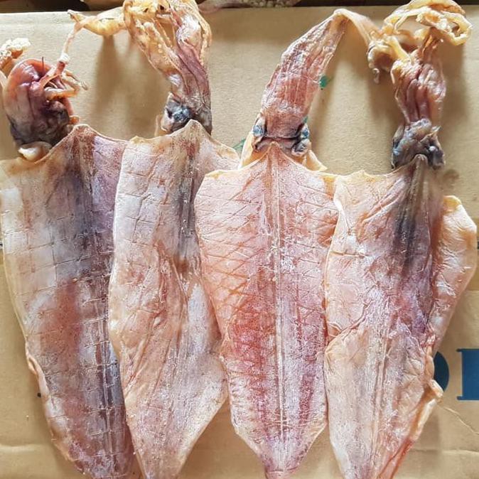 Juhi / Sotong Kering Kualitas No 1 500Gr _