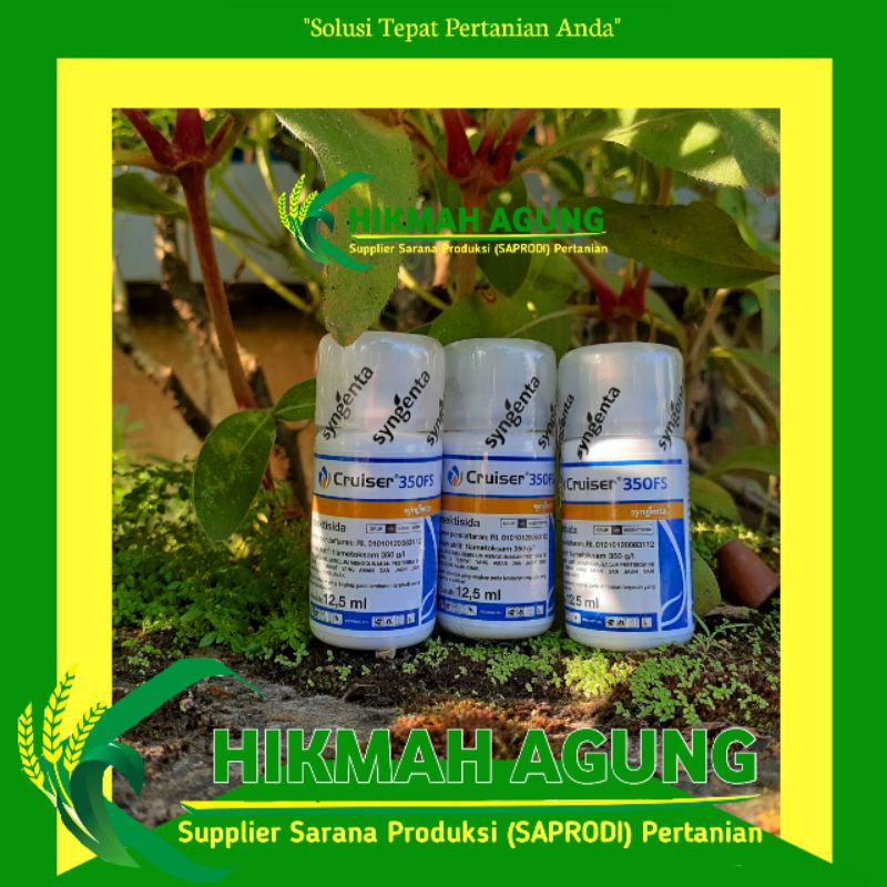 

Insektisida Cruiser 350FS 12,5ml dr syngenta