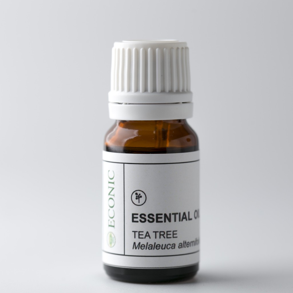 Tea Tree ( Melaleuca alternifolia) Essential Oil