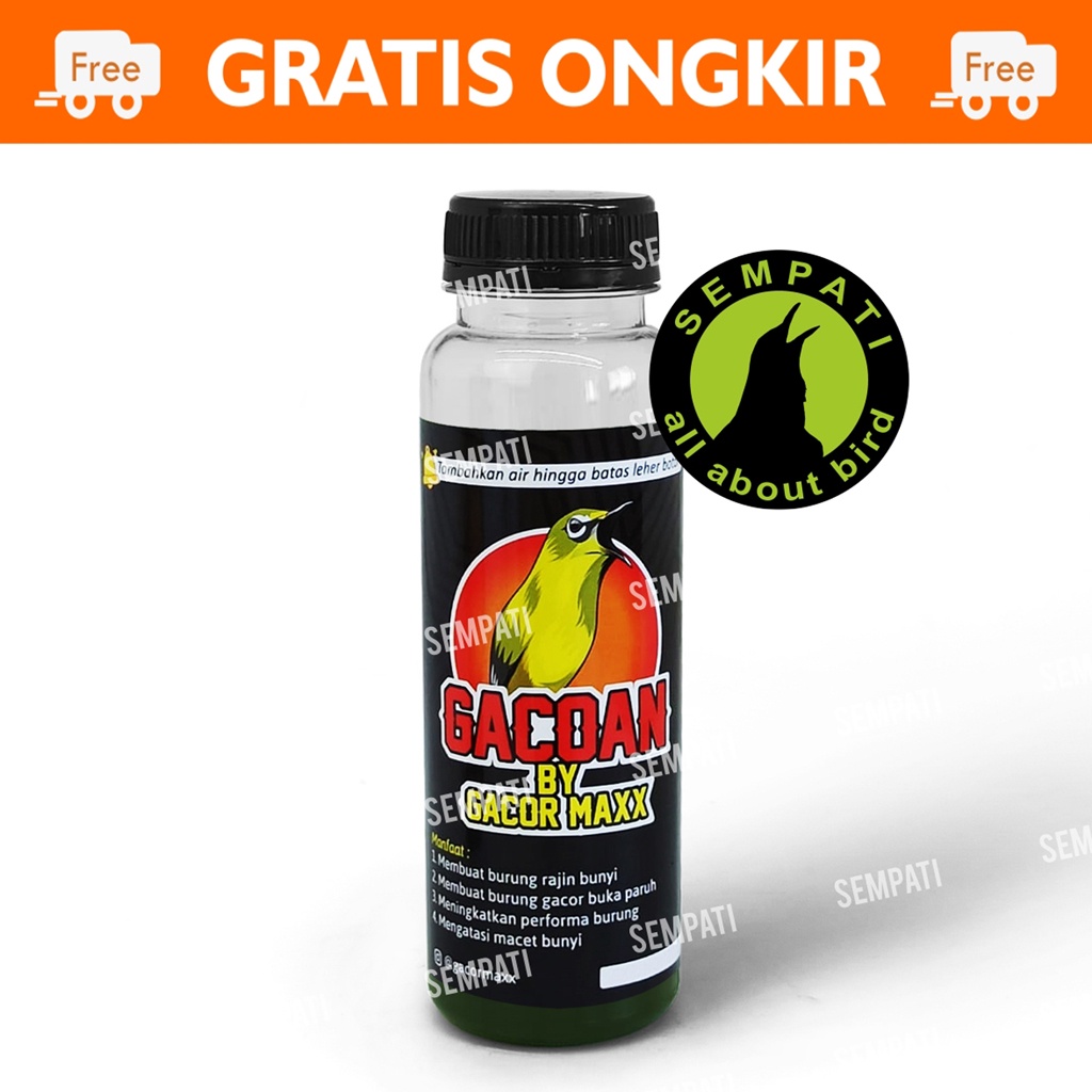 GACOAN DOPPING VITAMIN BURUNG PLECI GACOAN BY GACOR MAXX DOPING TAMBAHAN BURUNG PLECI CEPAT GACOR NGALAS NGEROL BURUNG PLECI LASROL