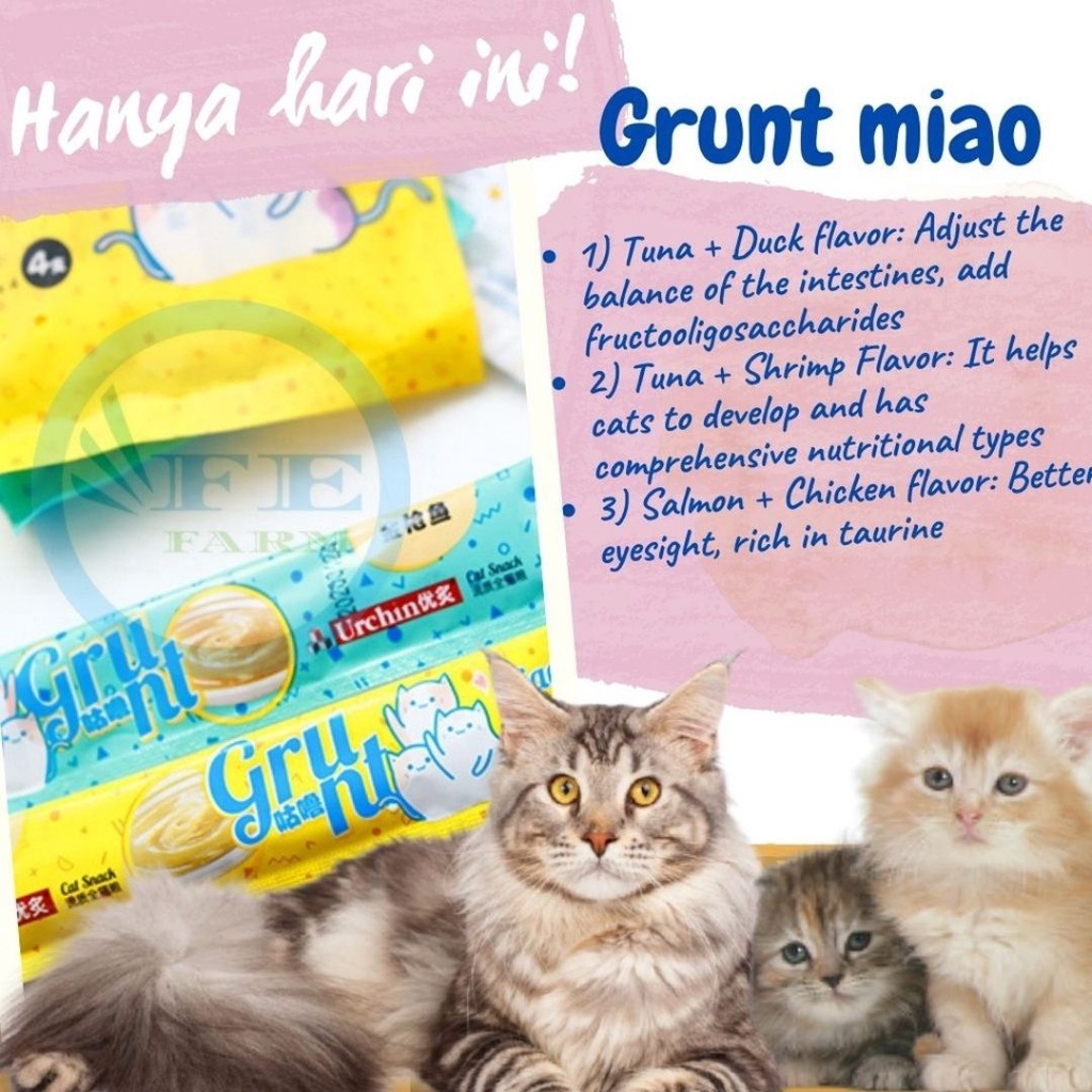 Makanan Ringan Kucing Grunt Cemilan 5pcs Vitamin Basah Cat Kucing 15gr FEFARM