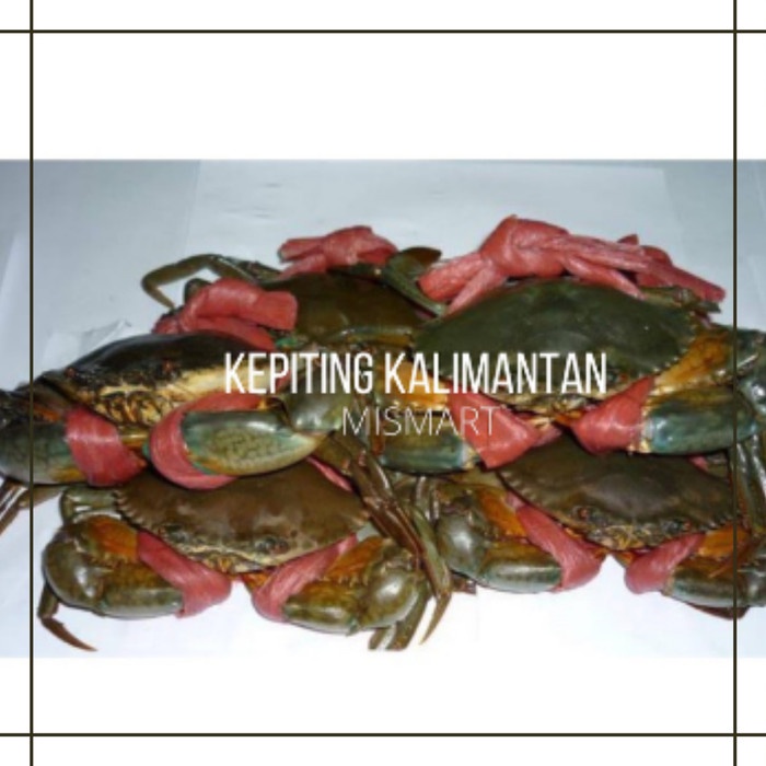 

KEPITING KALIMANTAN PER 1KG