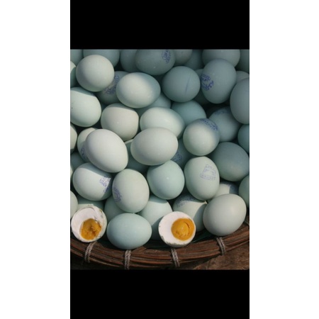

Telur asin Bebek termurah
