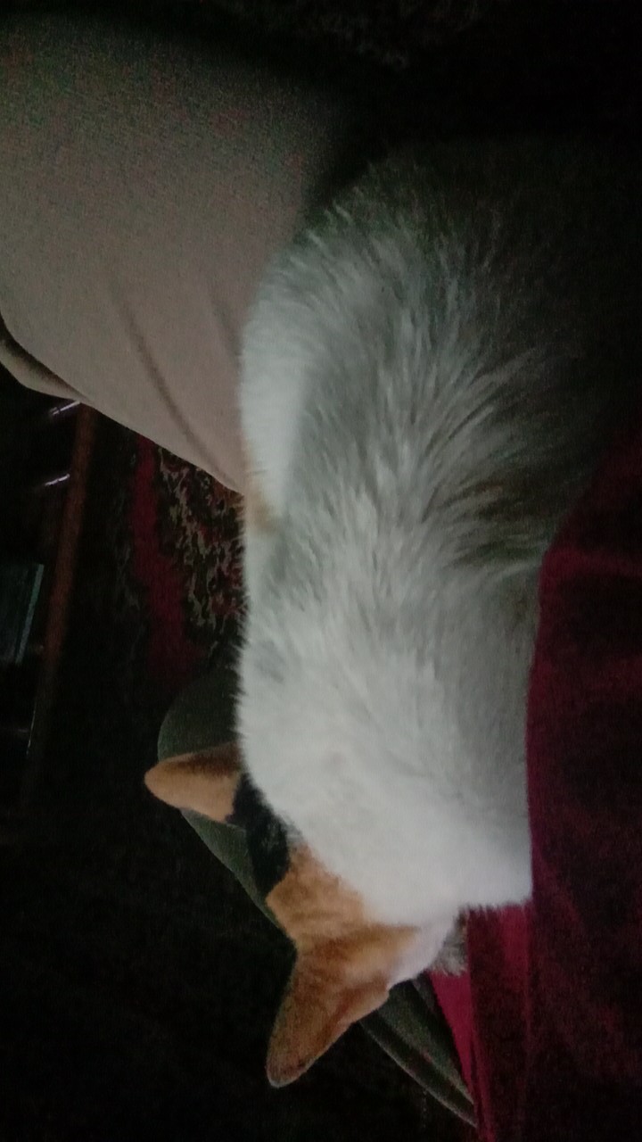 Realpict!! Couple Batik Silky Semi Sutra - Kemeja Batik - Rok Prisket - Plisket Batik - Motif Klasik