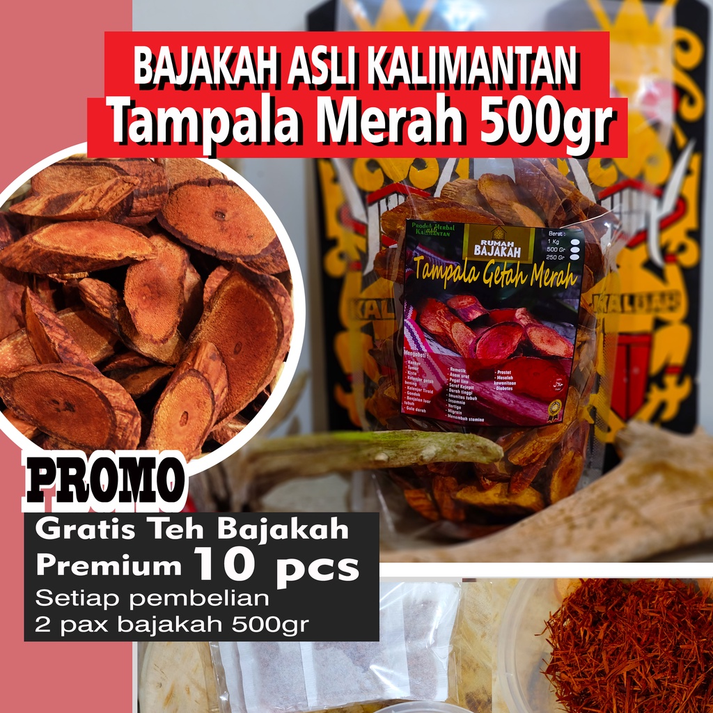 [ASLI] Bajakah TAMPALA merah 500gr + BONUS Teh Bajakah/ Akar Kayu Bajakah Kalimantan