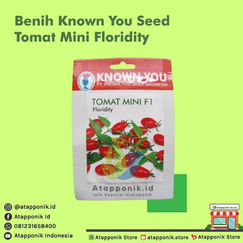 benih bibit tomat cherry mini floridity