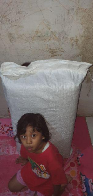 The Luxe Mattress Random Color 4 Folding 70x180cm Waterproof