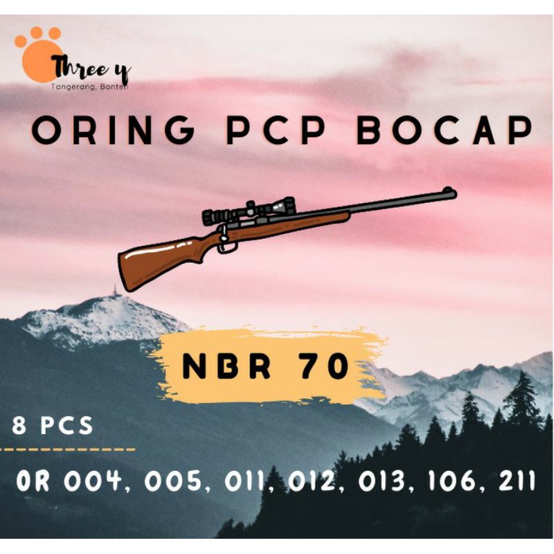 oring / seal pcp bocap