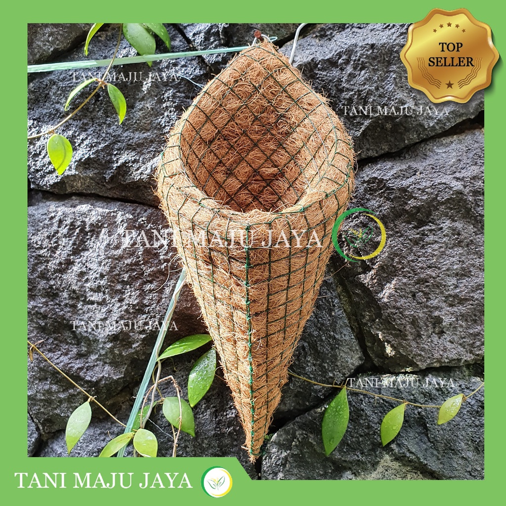 Pot Gantung Cocofiber Sabut Kelapa Cone Panjang Anggrek Dendrobium