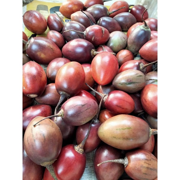 

Terong kori/Terong Belanda500Gram