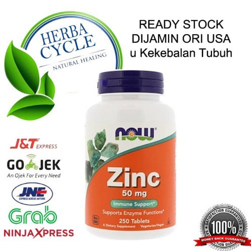 Now Foods Zinc 50 mg 250 Tablets ORI USA untuk Daya Tahan Tubuh Now Zinc Vit Zat Besi Vit Zinc