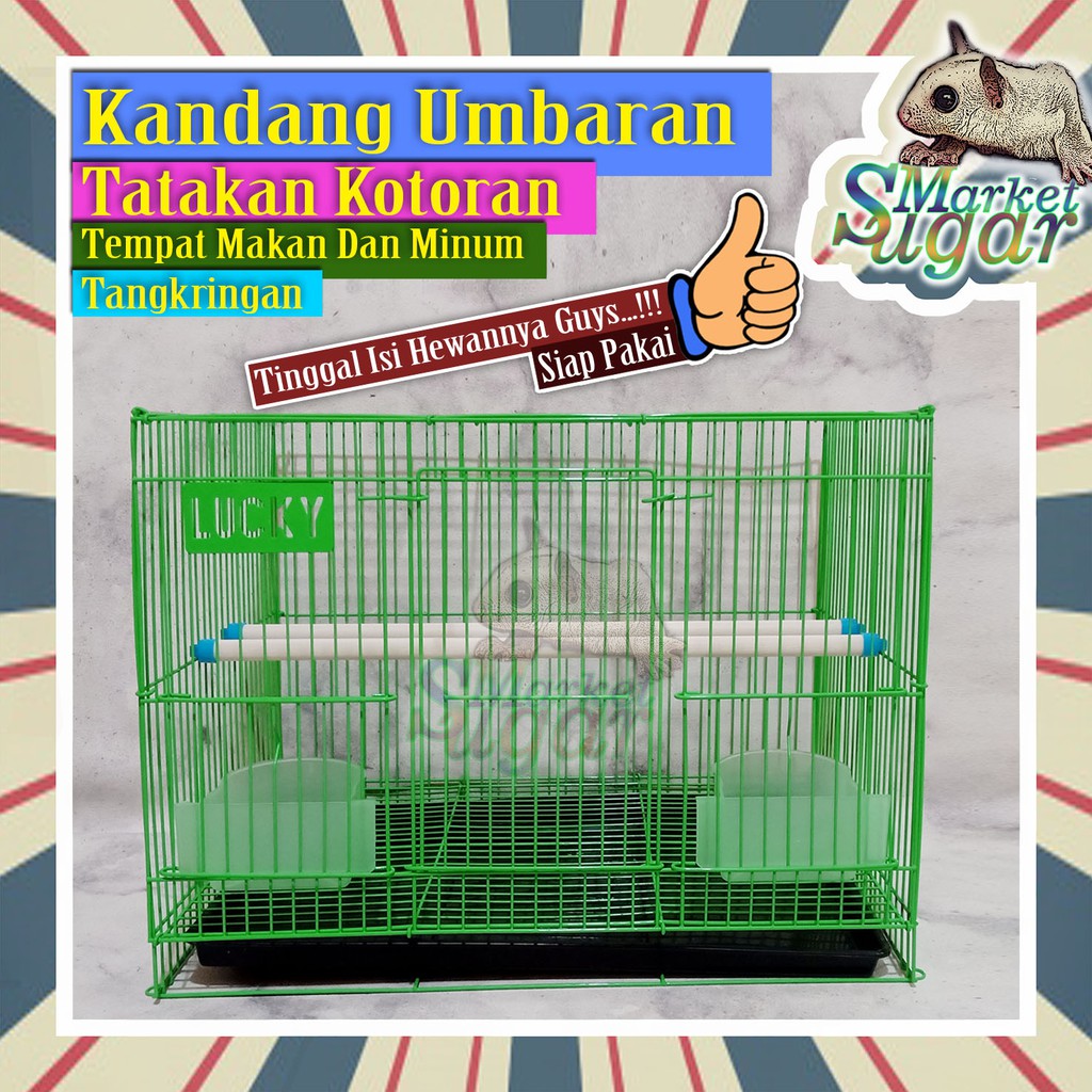 Umbaran KC Kandang Burung - Sugar Glider - Kucing - Kelinci - Tupai - Landak Mini - Rumah Hewan-1