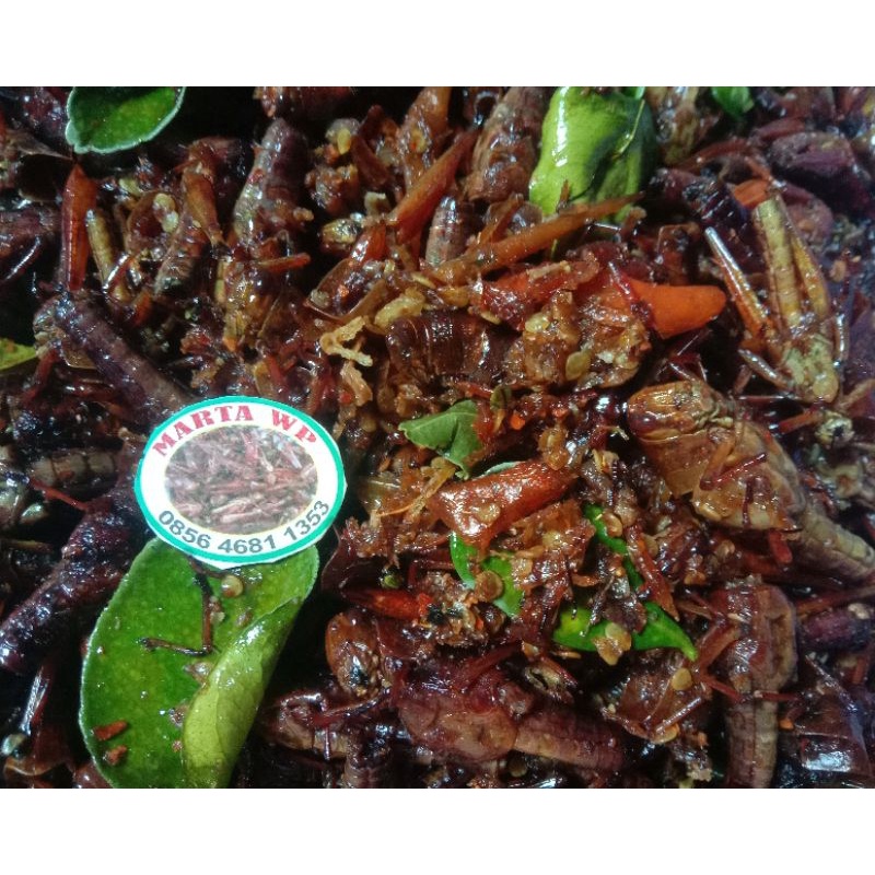 

Belalang goreng super pedas isi 100 gram