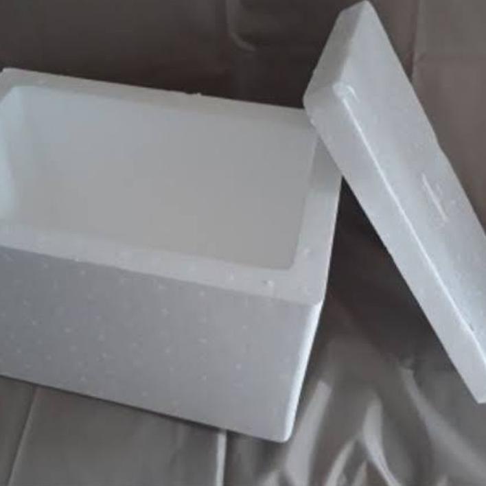 Styrofoam box ikan ✔