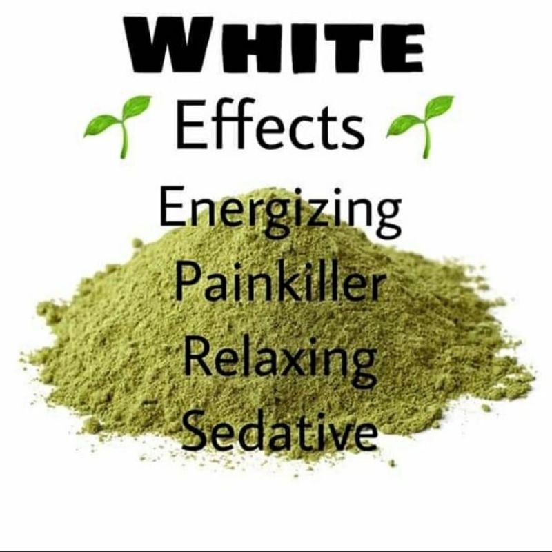 

Daun Herbal K